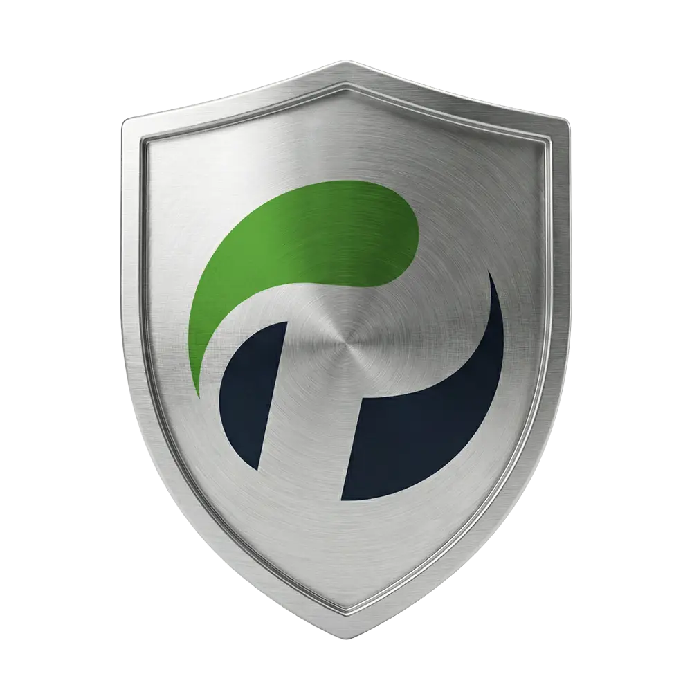 PayAngel secure transfer protection